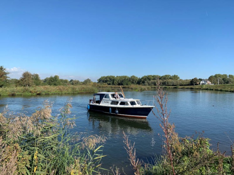 Pedro 800 - Boatscribe.com