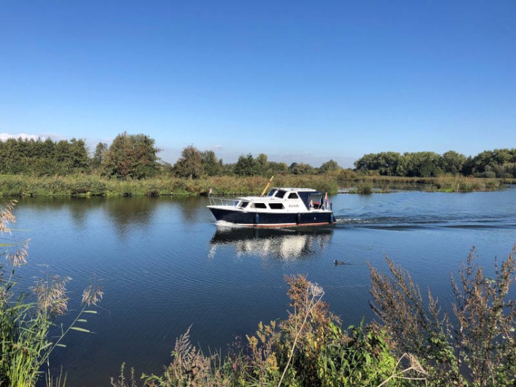 Pedro 800 - Boatscribe.com