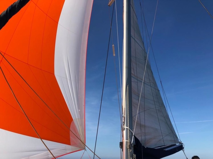 Lagoon 410 - Boatscribe.com