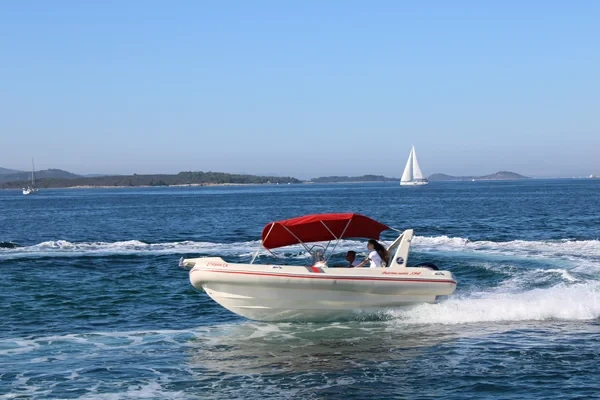 Barracuda 590 - Boatscribe.com