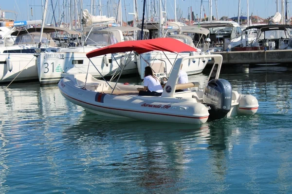 Barracuda 590 - Boatscribe.com