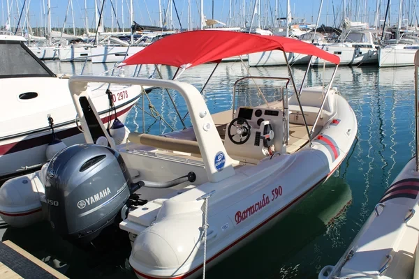 Barracuda 590 - Boatscribe.com