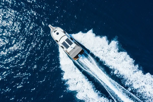 Leidi 800 - Boatscribe.com