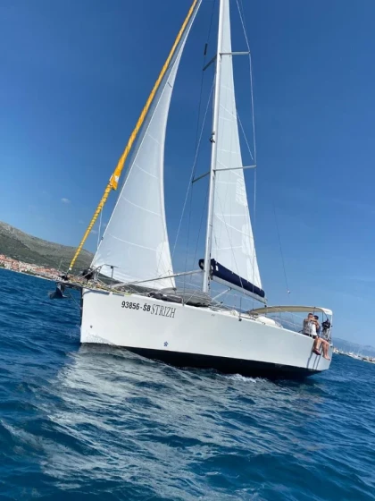 Cobra 41 - Boatscribe.com