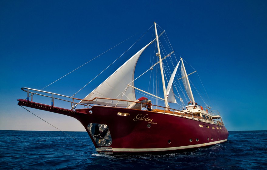 Gulet - Boatscribe.com