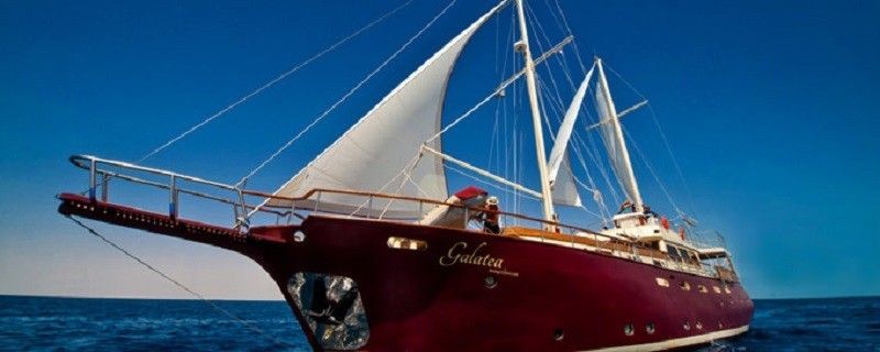 Gulet - Boatscribe.com
