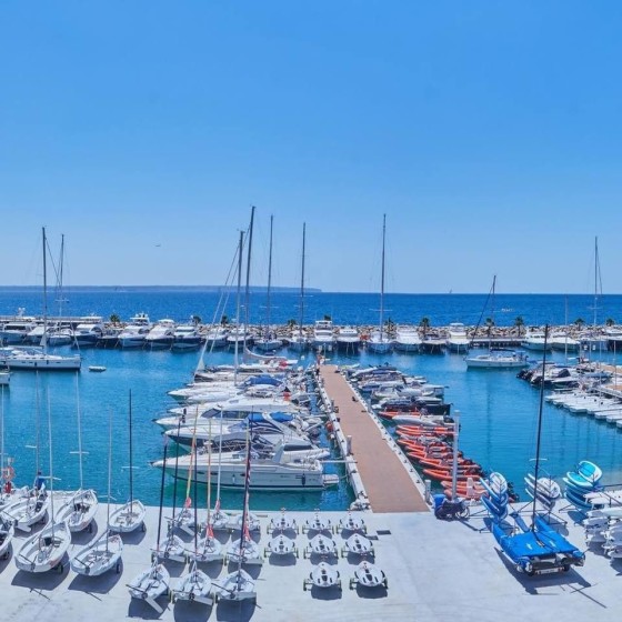 Baglietto 137 - Boatscribe.com