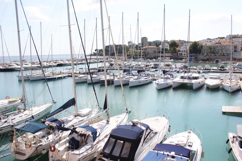 Baglietto 137 - Boatscribe.com