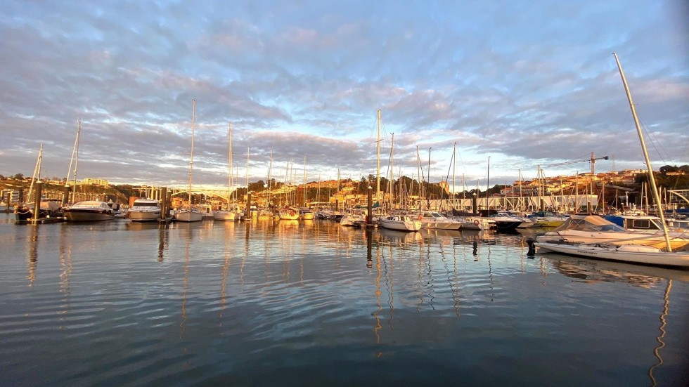 MY 37 - Boatscribe.com