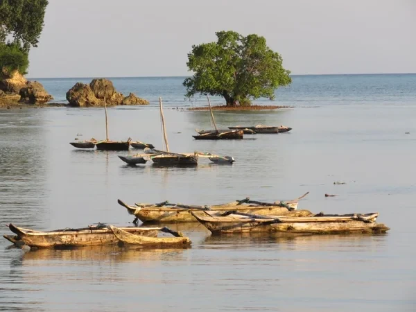 Leopard 48 - Boatscribe.com