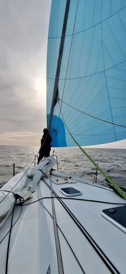 Pogo 36 - Boatscribe.com