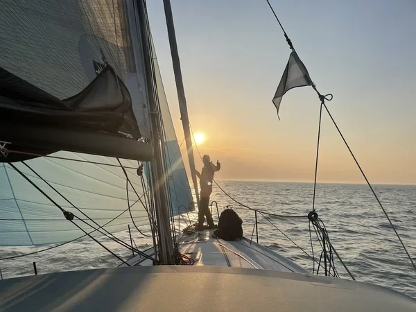 Pogo 36 - Boatscribe.com