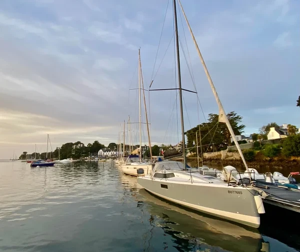 Pogo 36 - Boatscribe.com