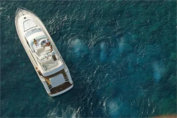 Aicon 67 - Boatscribe.com