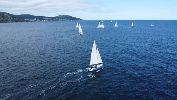 Yatlant 24 - Boatscribe.com