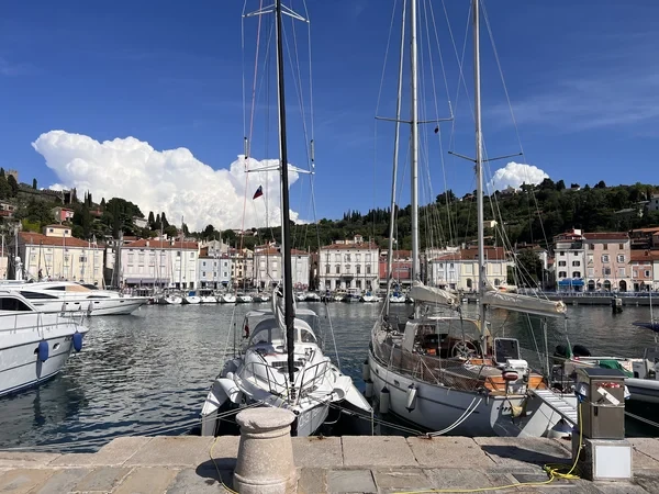 Trimaran - Boatscribe.com