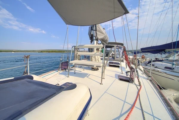 Dolphin 50 - Boatscribe.com