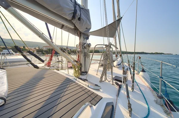 Dolphin 50 - Boatscribe.com