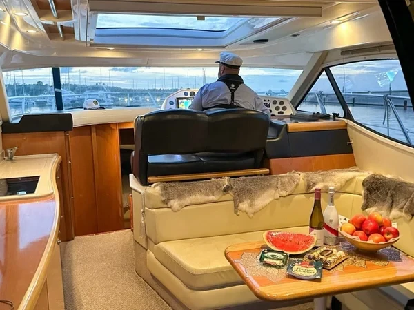 Sealine C390 - Boatscribe.com