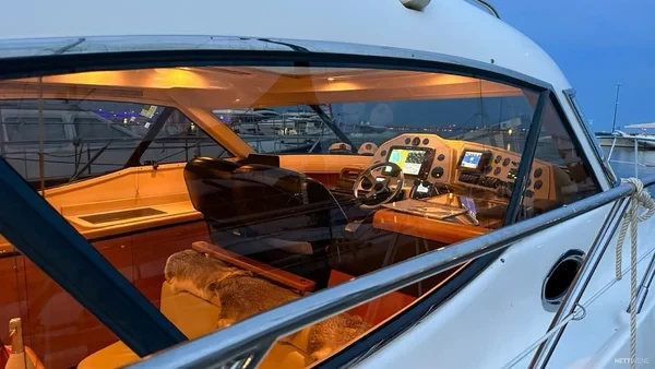 Sealine C390 - Boatscribe.com