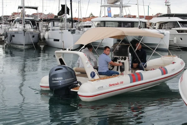 Barracuda 530 - Boatscribe.com