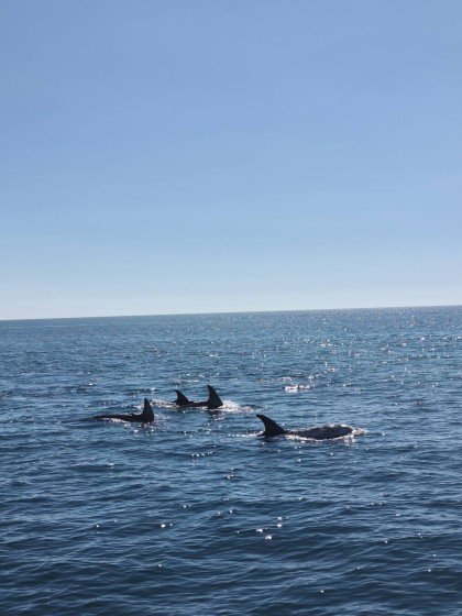 Fountaine Pajot New 44 Quatour - Boatscribe.com