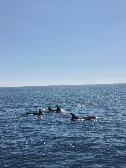 Fountaine Pajot New 44 Quatour - Boatscribe.com