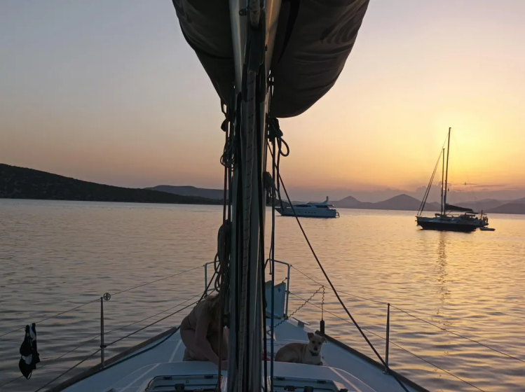 Oceanis 51.1 - Boatscribe.com