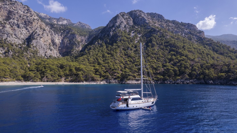 Motor sailer - Boatscribe.com
