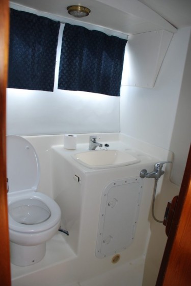 Tarpon 42 - Boatscribe.com