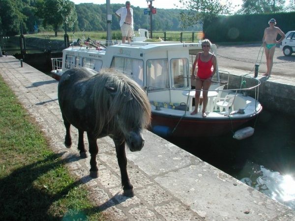 Espade 1150 Fly - Boatscribe.com