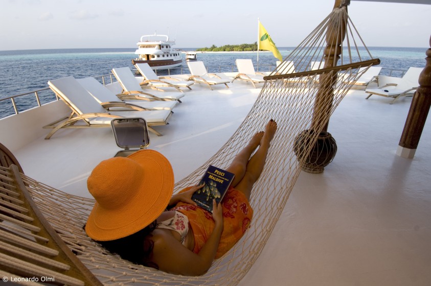 Motoryacht - Boatscribe.com