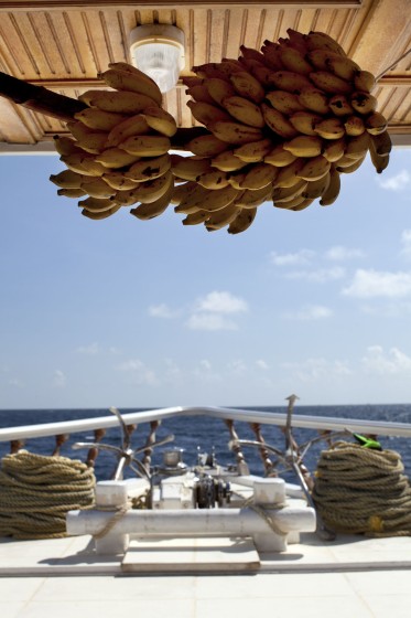 Motoryacht - Boatscribe.com