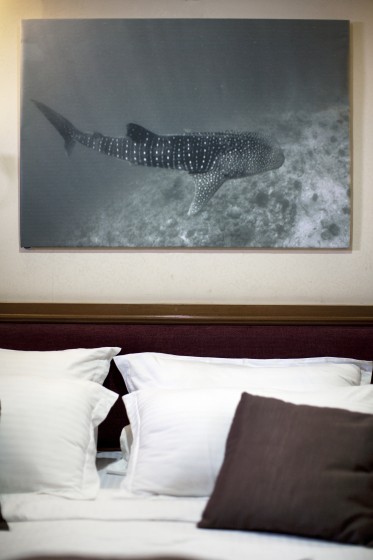 Motoryacht - Boatscribe.com