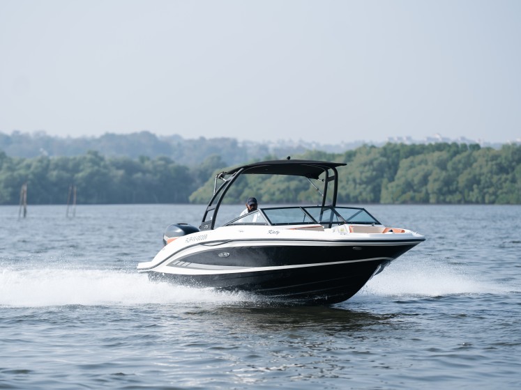 Sea Ray 210 - Boatscribe.com