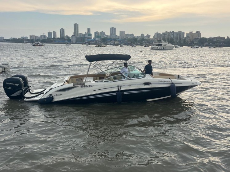 Sea Ray 290 - Boatscribe.com