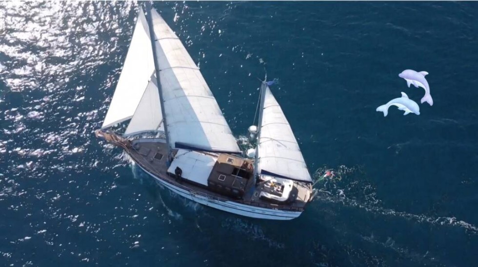 Goletta 20 - Boatscribe.com